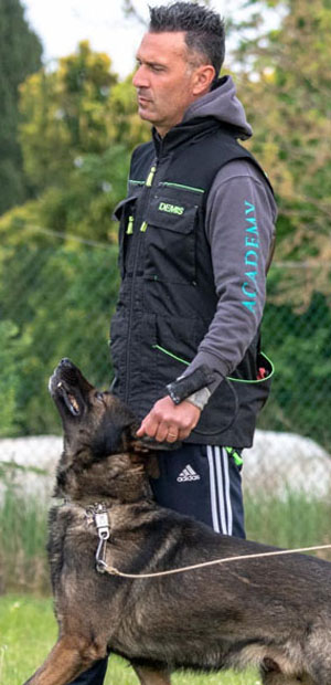 hp_1 Extreme Sports Bike