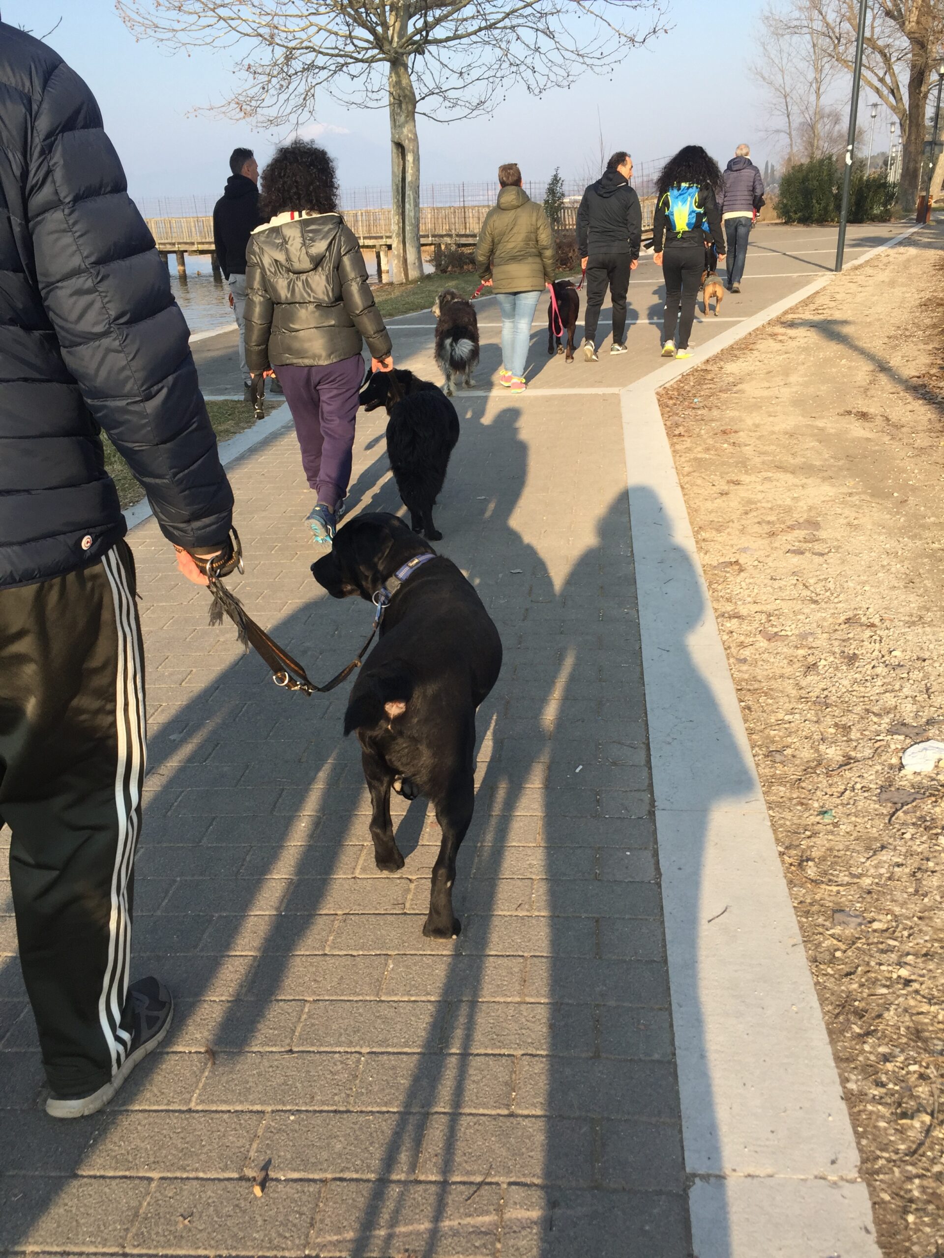 Snow Sports Adventure