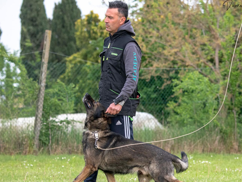 Extreme Sports Biking