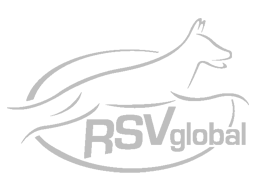 rsv_global_logo